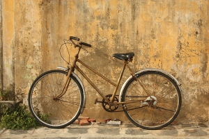1316795_bicycle.jpg