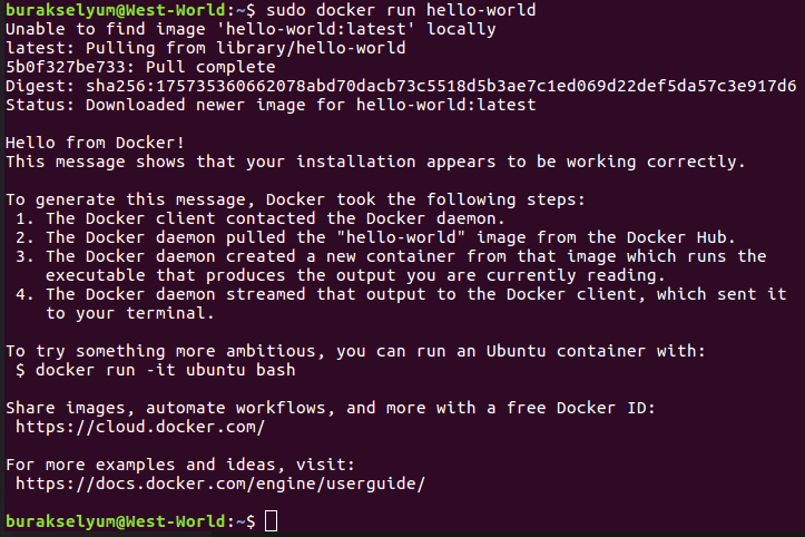core_docker_5.gif