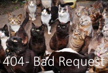 badrequest.jpg