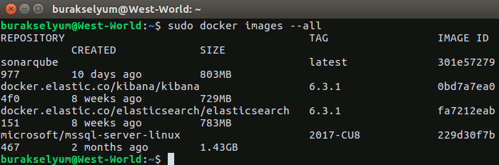 sqldocker_2.gif