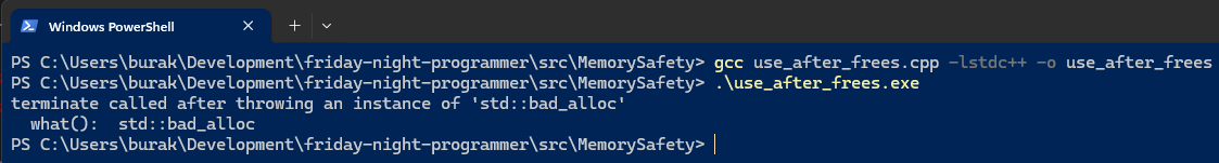 UseAfterFreesError.png