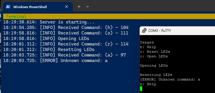 Server runtime